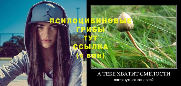 гидра Белокуриха