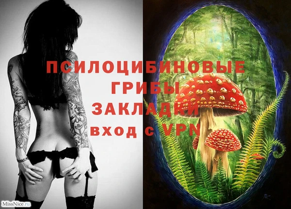 Альфа ПВП Балабаново